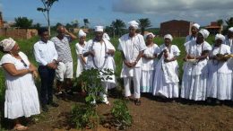 Dia da África: Plantio de uma muda do Baobá foi realizado no Ilê Odé Asé Obá Omin