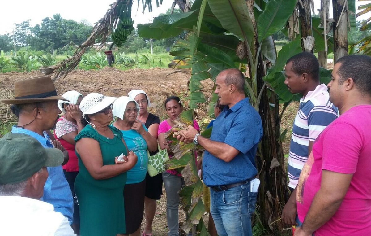 SEMAP promoveu curso de Cultivo de Mandioca na comunidade de Jabequara das Flores