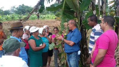 SEMAP promoveu curso de Cultivo de Mandioca na comunidade de Jabequara das Flores