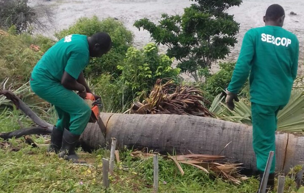 Equipes da SESCOP realizaram novas ações pelo município