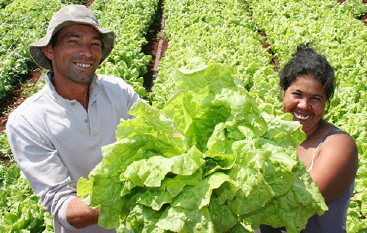 Agricultores do município serão certificados dia 29 de agosto