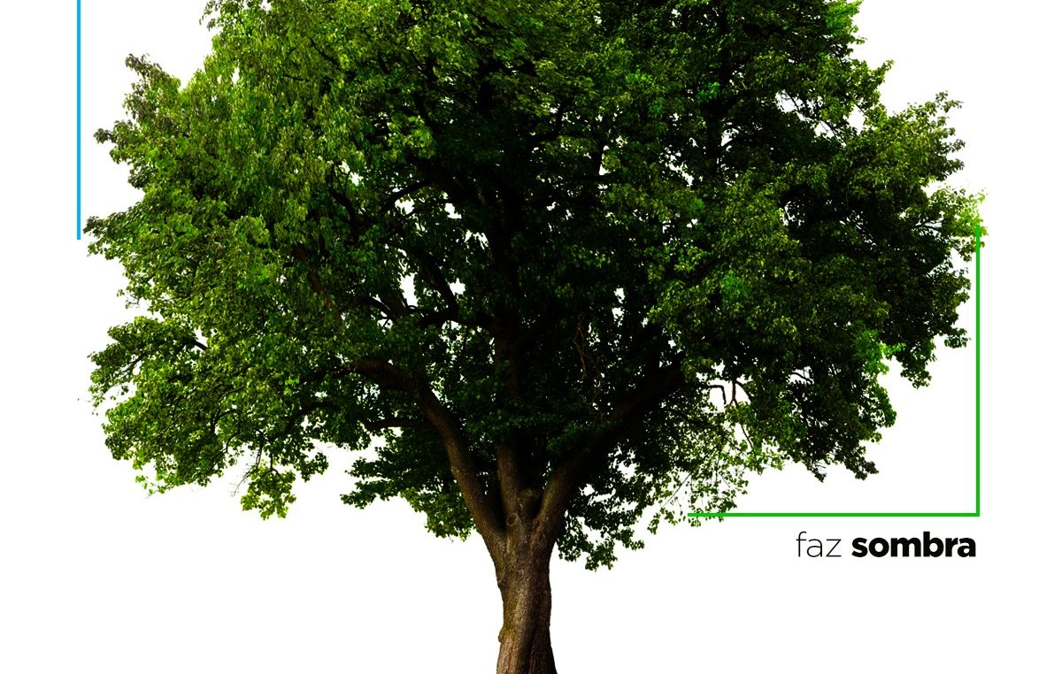 Atividades educativas e entrega de mudas marcaram o Dia da Árvore