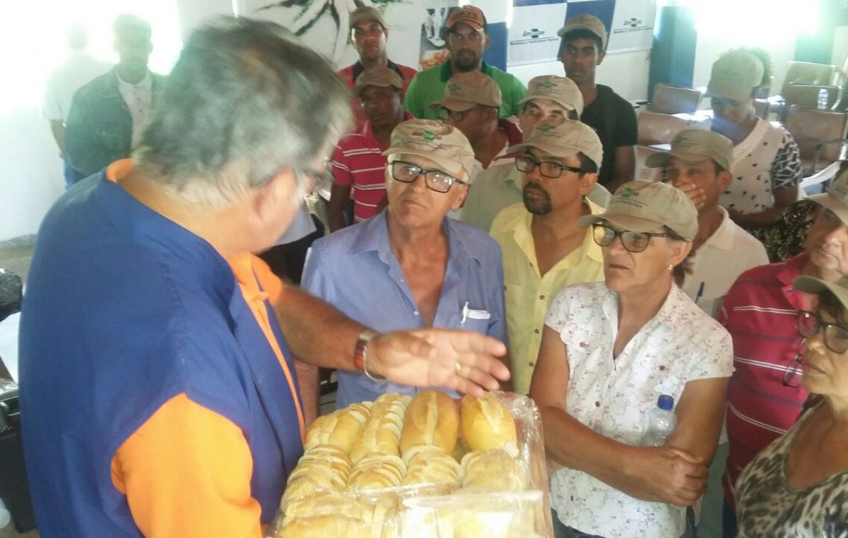 Agricultores franciscanos participam do “Dia de Campo na Embrapa – Mandioca e Fruticultura Tropical”