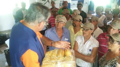 Agricultores franciscanos participam do “Dia de Campo na Embrapa – Mandioca e Fruticultura Tropical”