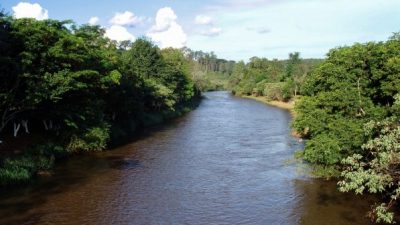 Projeto Reabilitação Florestal de Áreas de Preservação Permanentes dos rios Joanes e Jacuípe fará Audiência Pública