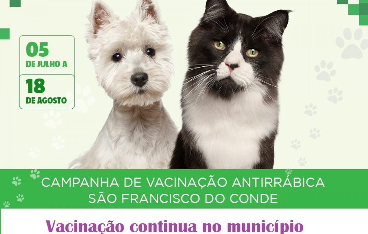 Vacinação antirrábica 2018: já foram vacinados 82% dos cães e 129% dos gatos no município