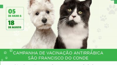 Vacinação antirrábica 2018: já foram vacinados 82% dos cães e 129% dos gatos no município