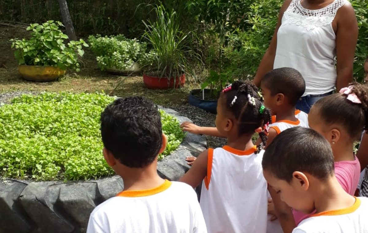 Alunos de Campinas visitam o Centro de Educação Ambiental