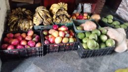 SEMAP entrega alimentos da agricultura familiar às famílias assistidas pelo Centro de Referência de Assistência Social (CRAS) do bairro de São Bento
