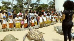 Estudantes da Escola Municipal Anísio Teixeira visitam o projeto TAMAR