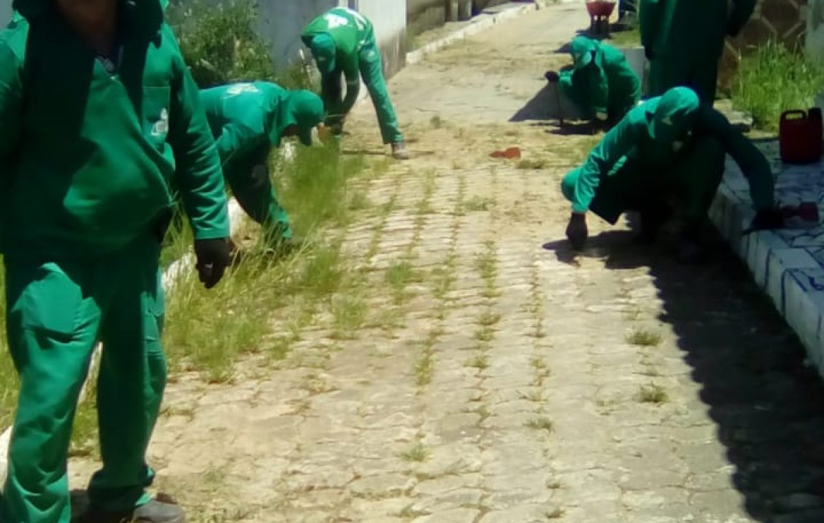 Equipes da SESCOP realizaram diversos serviços da Ilha do Paty