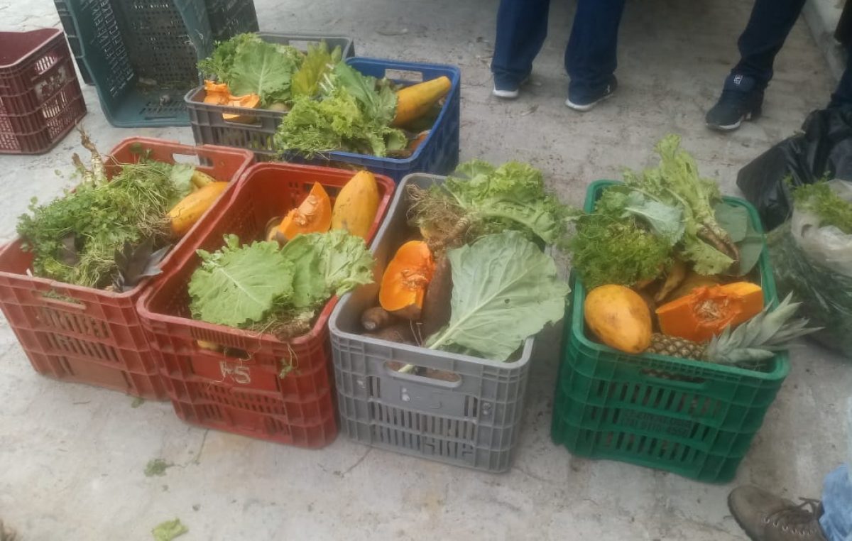 Com entrega de alimentos do PAA, município de São Francisco do Conde fortalece agricultura familiar