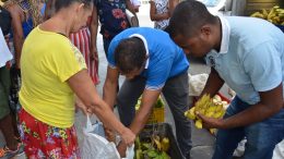 SEMAP: Prefeitura de São Francisco do conde realizou mais uma entrega de alimentos da agricultura familiar