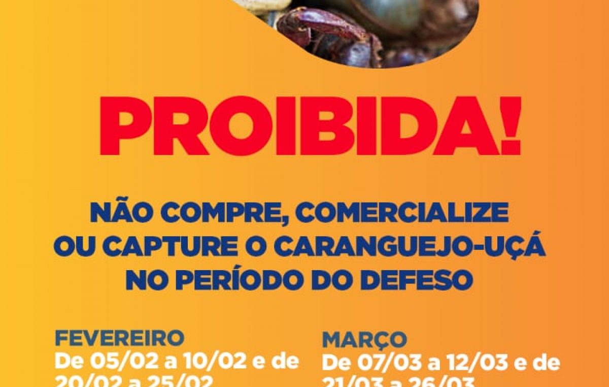 Defeso do caranguejo-uçá acontece em períodos de fevereiro e março