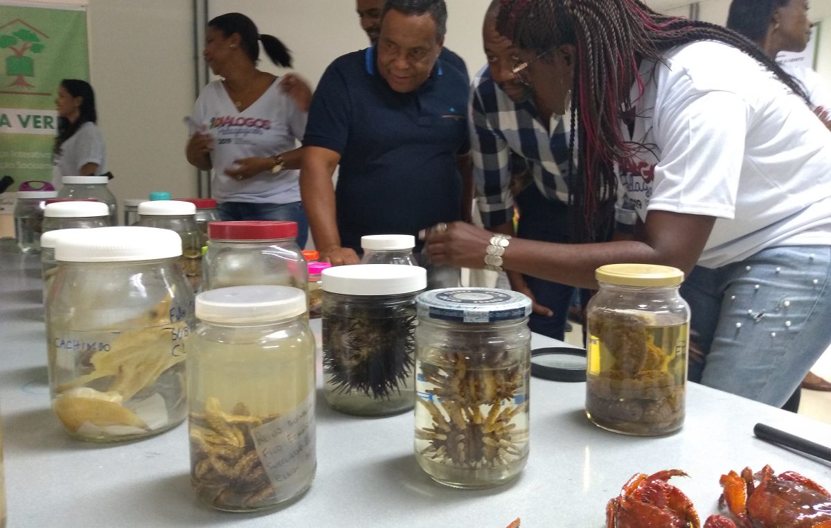 Inaugurada a Sala Verde de São Francisco do Conde durante o Diálogos Pedagógicos 2019