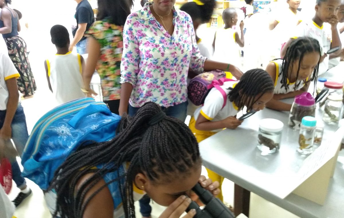 Exposições da Sala Verde encantam alunos da Rede Municipal de Ensino