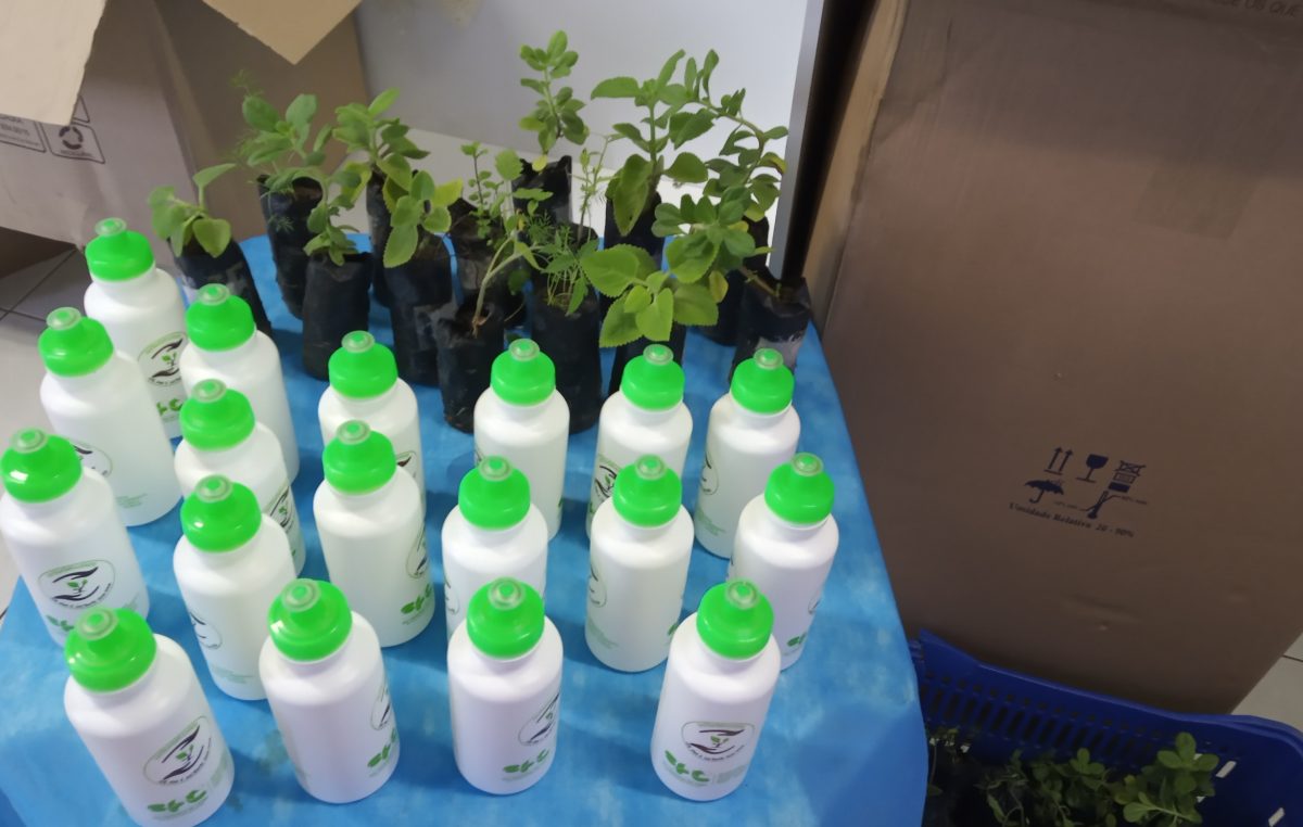 Meio Ambiente, Agricultura e Pesca promoveu ação na Secretaria da Saúde