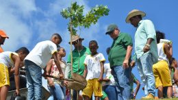 SEMAP, SESCOP e SEDUC realizam plantio de árvores em comemoração ao Dia Mundial da Árvore