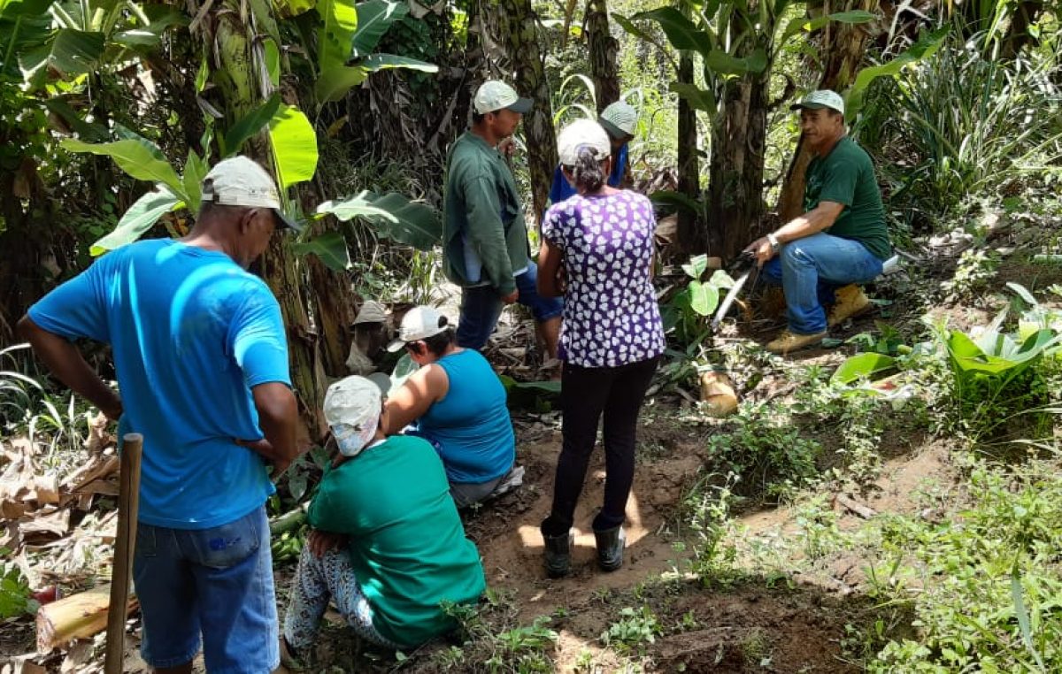 SEMAP ofereceu Curso de Cultivo de Banana