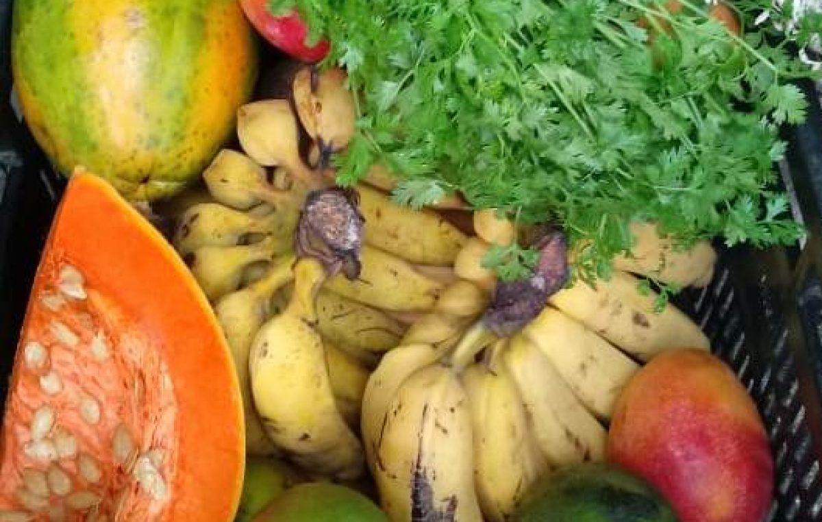 Entrega de Alimentos do Programa de Aquisição de Alimentos (PAA) acontecerá nesta sexta-feira (24)