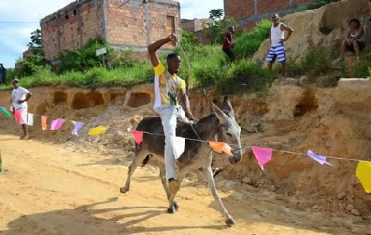 Corrida de Jegue animou o fim de semana dos moradores de Jabequara da Areia﻿