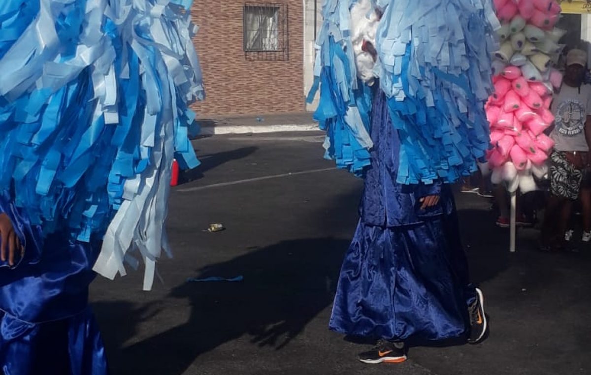 Personagens culturais e carnavalescos encheram de cor o domingo de Carnaval