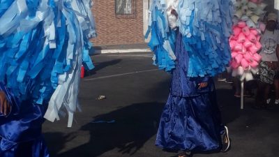 Personagens culturais e carnavalescos encheram de cor o domingo de Carnaval