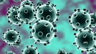 Coronavírus: Bahia confirma 55 casos de Covid-19