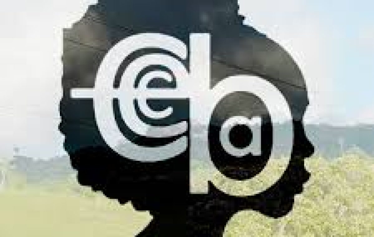 Comunidade escolar do CECBA unida pela aprendizagem de seus estudantes