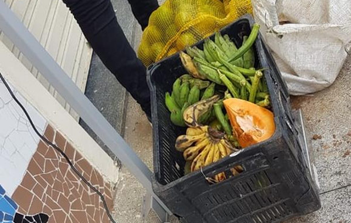 Programa de Aquisição de Alimentos ajuda a reduzir impactos da pandemia de Covid-19