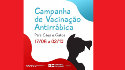 Proteja seus cães e gatos: São Francisco do Conde realiza Campanha de Vacinação contra a raiva animal por bairro