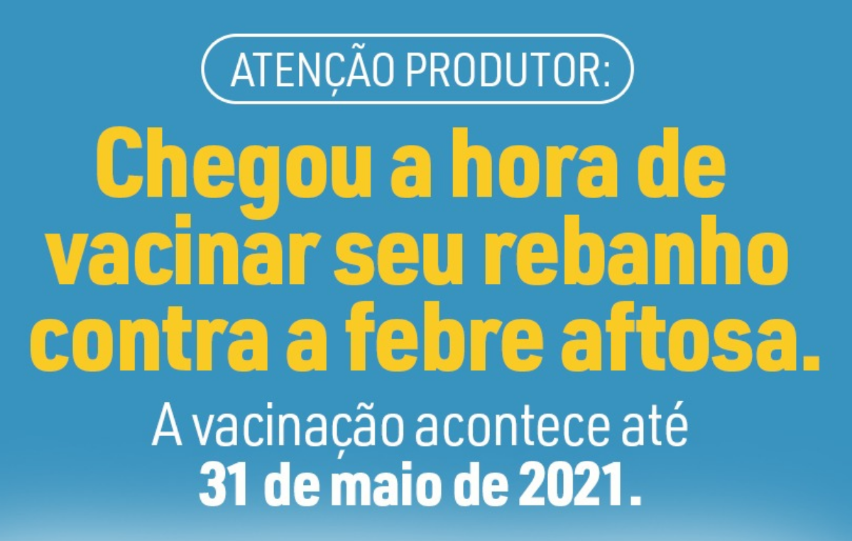 Atenção Produtor: Chegou a hora de vacinar seu rebanho contra a febre aftosa