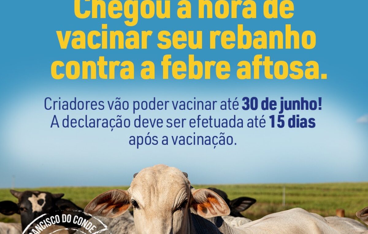 Atenção Produtor: Foi prorrogado o prazo para vacinar o rebanho contra a febre aftosa