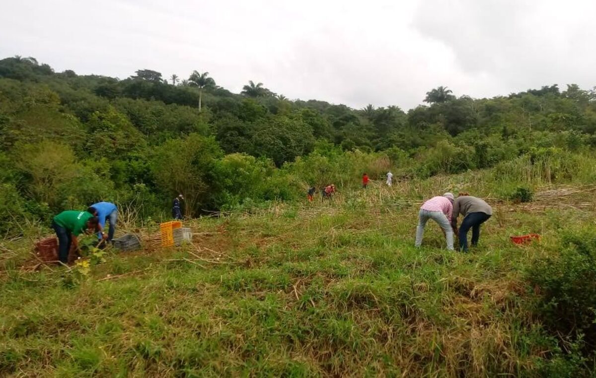 SEMANA DO MEIO AMBIENTE: Aquecimento global e mudanças climáticas são desafios para o futuro