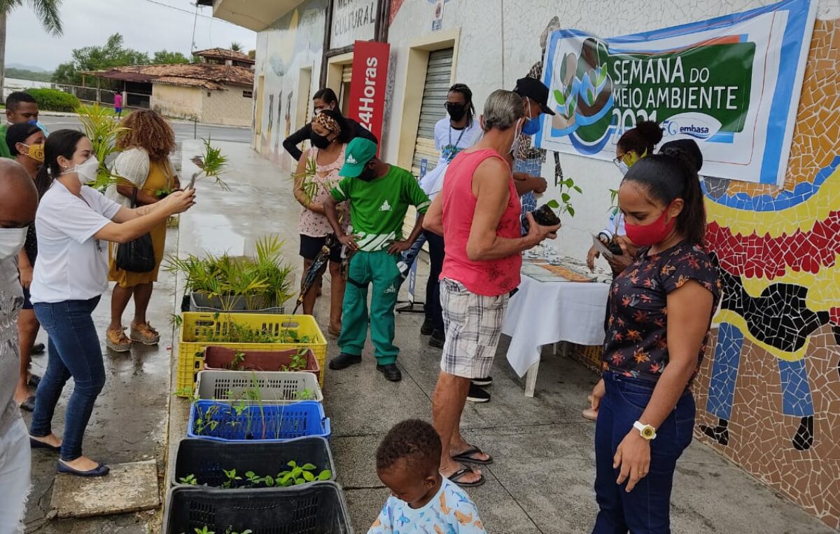 SEMAP realizou a doações de mais de 500 mudas medicinais e alimentícias