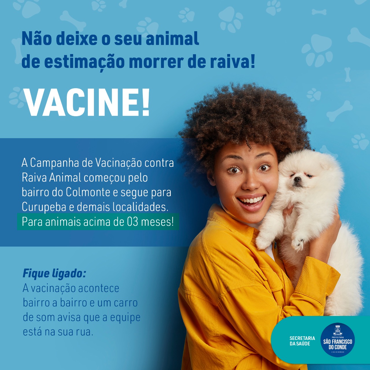 Saúde inicia campanha de vacinação de cães e gatos contra a raiva