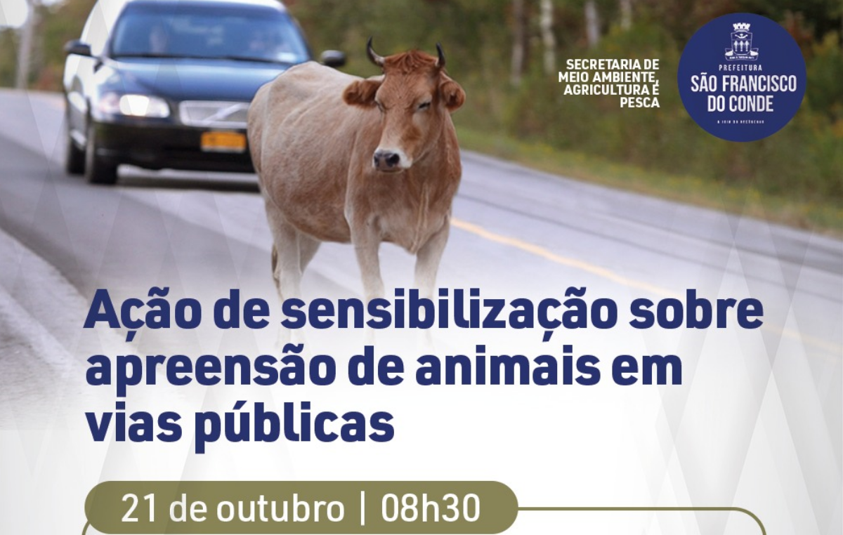 São Francisco do Conde promove ação de sensibilização sobre apreensão de animais em vias públicas