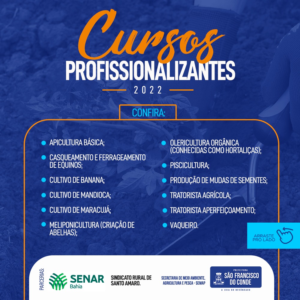 Cursos Profissionalizantes: confira as opções