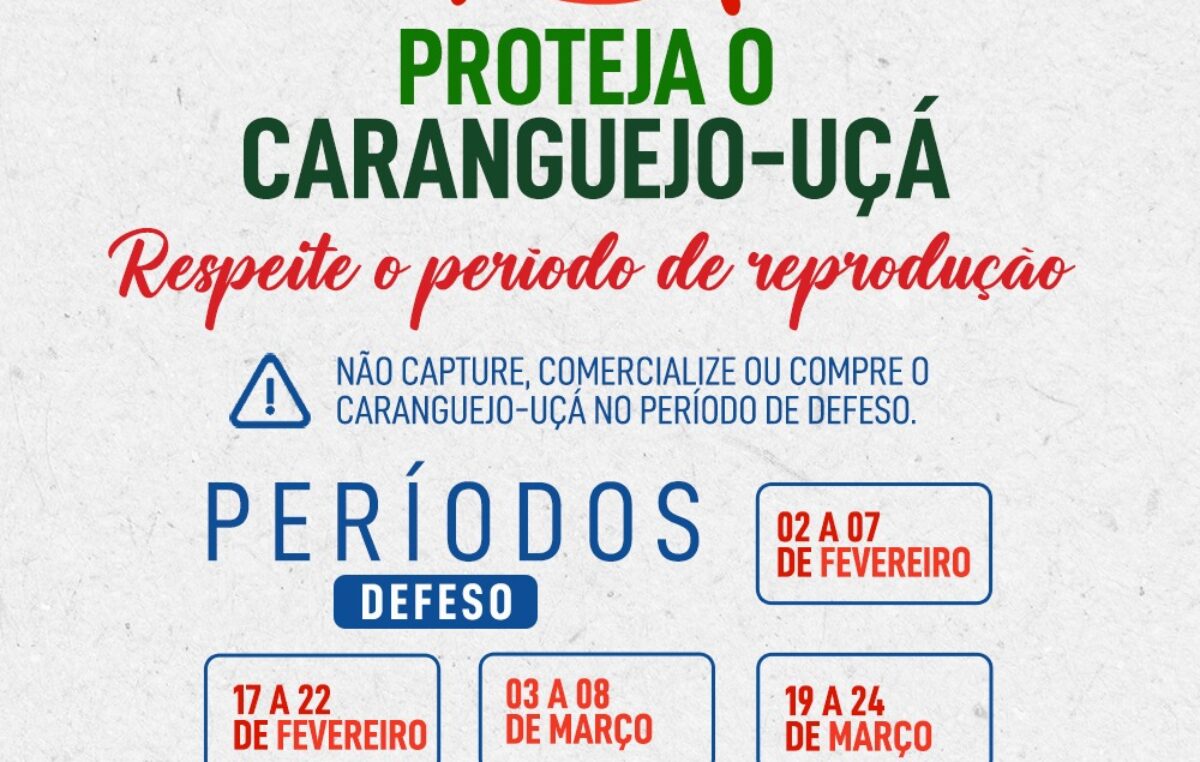 Caranguejo-Uçá: Respeite o período de reprodução –  17 a 22 de fevereiro