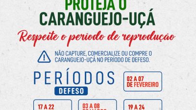 Caranguejo-Uçá: Respeite o período de reprodução – 02 a 07 e de 17 a 22 de fevereiro