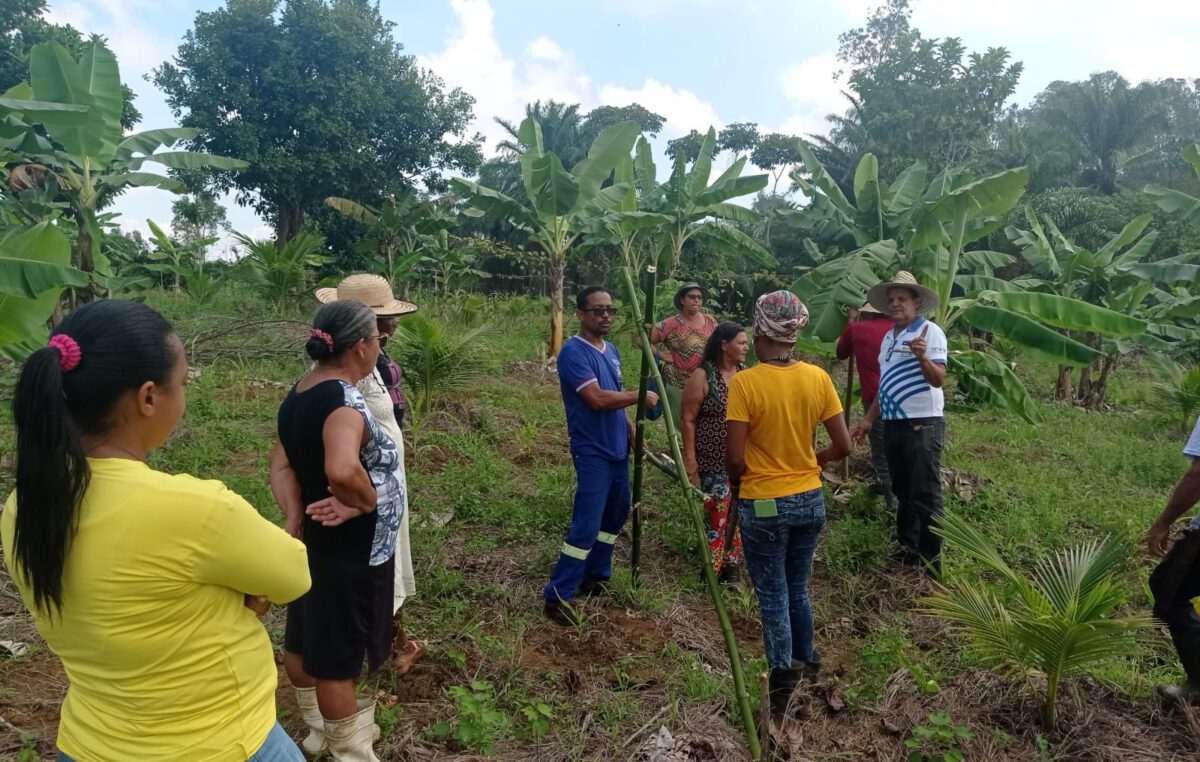 A Prefeitura, por meio da SEMAP, realizou o curso sobre o cultivo de maracujá