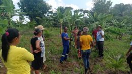 A Prefeitura, por meio da SEMAP, realizou o curso sobre o cultivo de maracujá