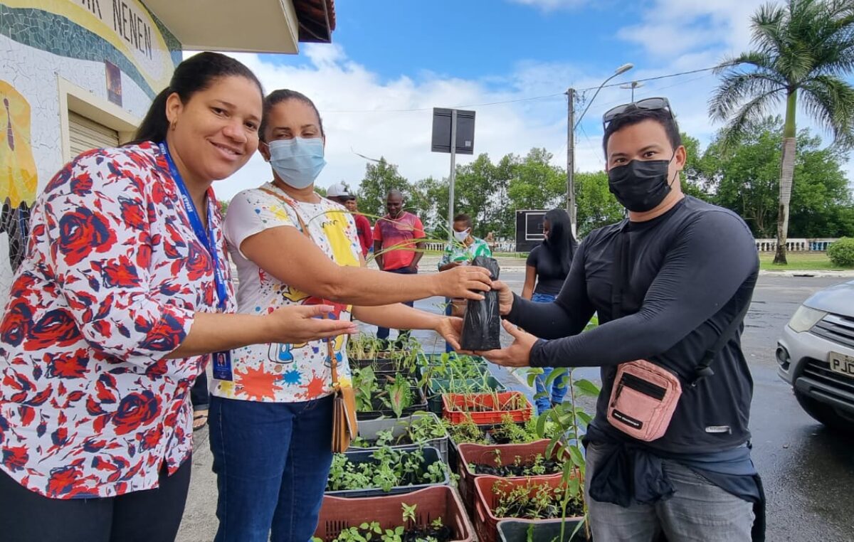 A Prefeitura, por meio da SEMAP, realizou a entrega de 400 unidades de mudas
