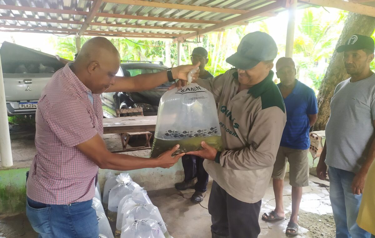 A Prefeitura, por meio da SEMAP, realizou, no dia 02 de junho, a distribuição de alevinos