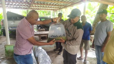 A Prefeitura, por meio da SEMAP, realizou, no dia 02 de junho, a distribuição de alevinos