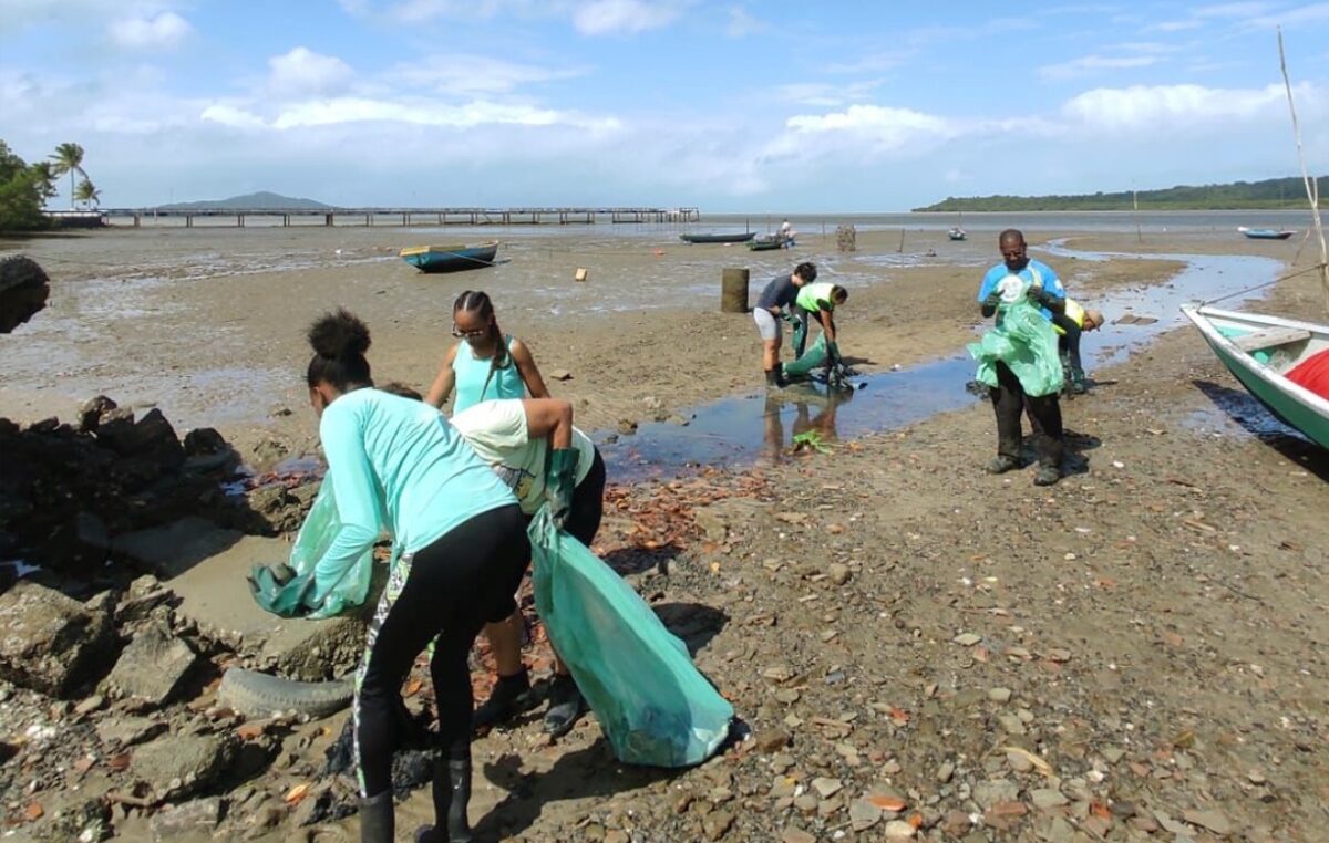 Dia Mundial do Meio Ambiente é celebrado com ação de limpeza do manguezal