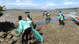 Dia Mundial do Meio Ambiente é celebrado com ação de limpeza do manguezal