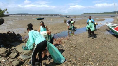 Dia Mundial do Meio Ambiente é celebrado com ação de limpeza do manguezal