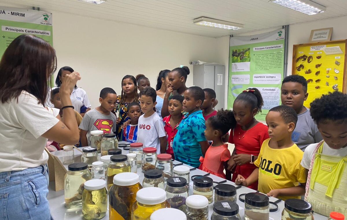 Crianças do SCFV do CRAS Coroado fazem visita a Sala Verde na SEDUC
