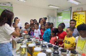 Crianças do SCFV do CRAS Coroado fazem visita a Sala Verde na SEDUC